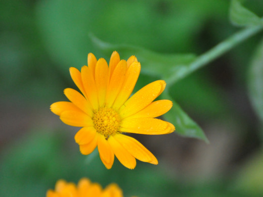 429721 (a): :1600x1200